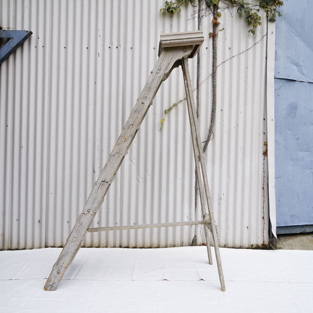 Vintage French Ladder