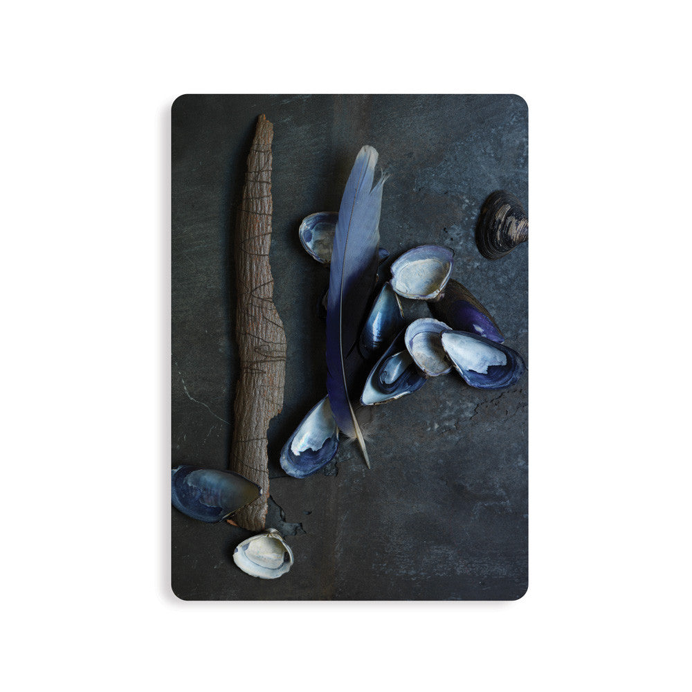 Postcard Etcetera Mussels